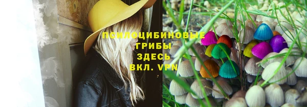шишки Бронницы