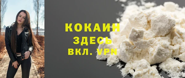 шишки Бронницы
