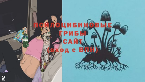 шишки Бронницы