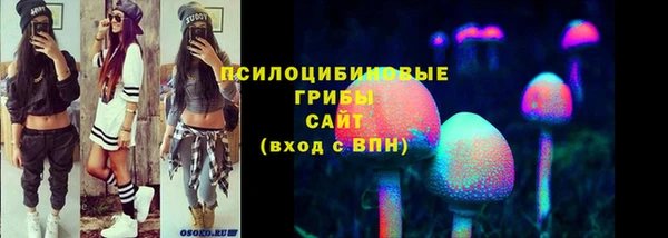 шишки Бронницы