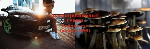ALPHA-PVP Бугульма