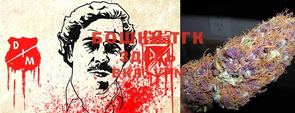 шишки Бронницы