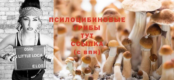 герыч Бородино